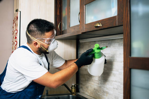 Professional Pest Control in Banks, OR