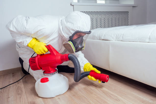 Best Mosquito Control Services  in Banks, OR
