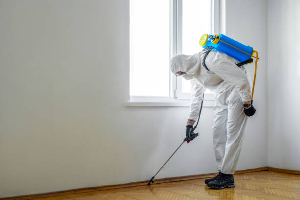 Best Insect Control  in Banks, OR