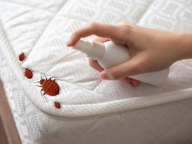 Best Pest Removal Services  in Banks, OR