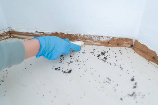 Best Wildlife Control Services  in Banks, OR
