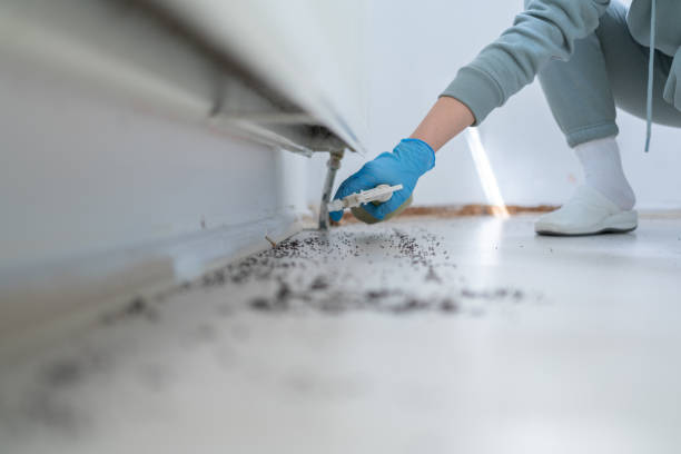 Best Pest Inspection Near Me  in Banks, OR